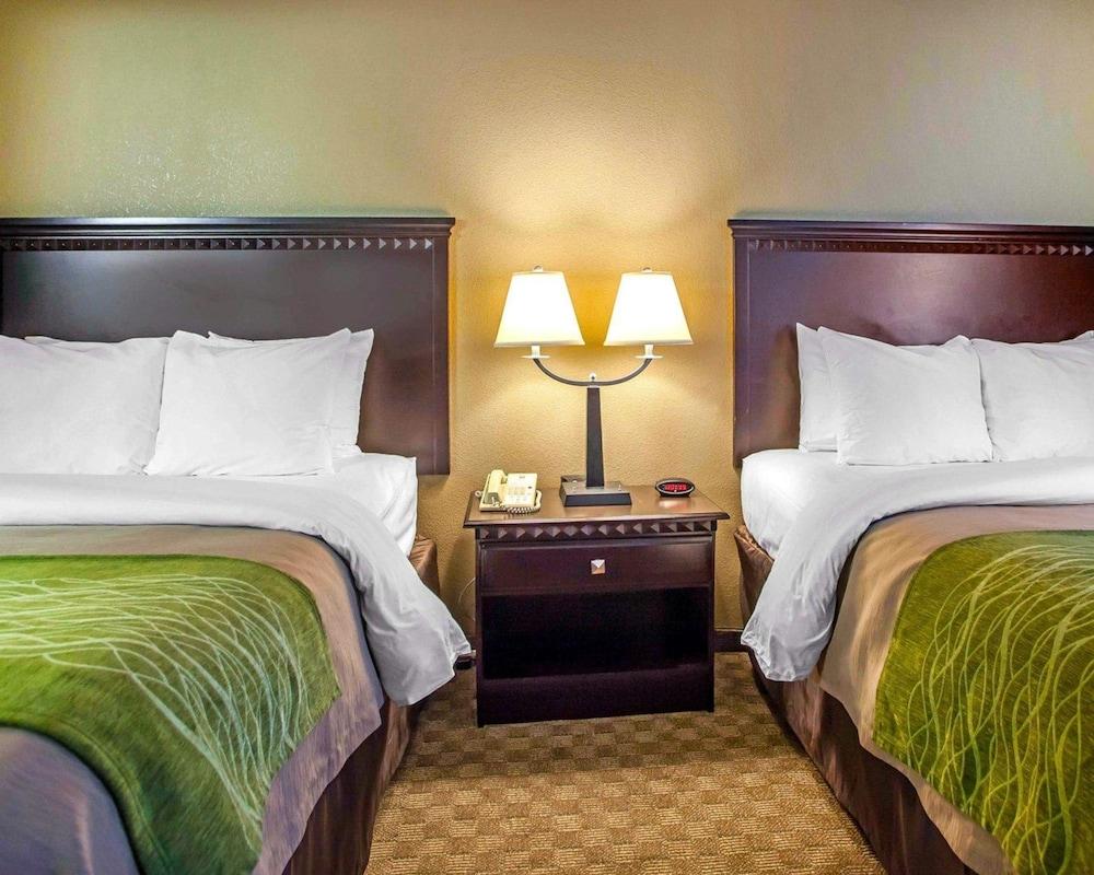 Comfort - New Brunswick Inn